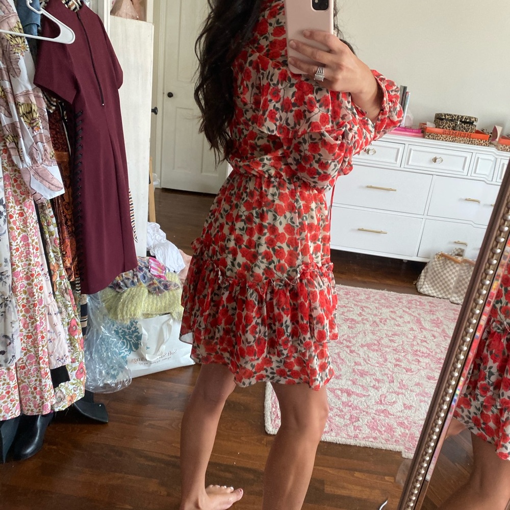 Red Rose Floral Swing Dress - Picture 5 of 9